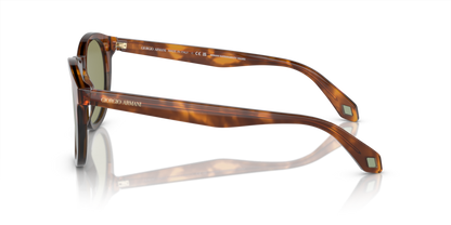 Havana Red/Opal Olive Green - 0AR8192 8056597940542