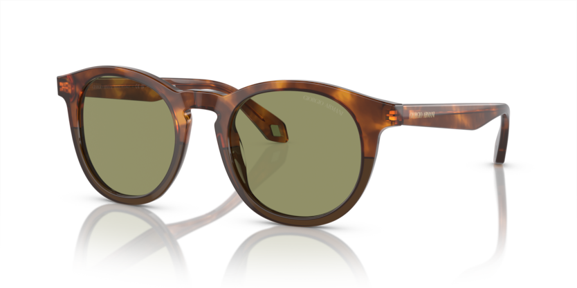 Havana Red/Opal Olive Green - 0AR8192 8056597940542