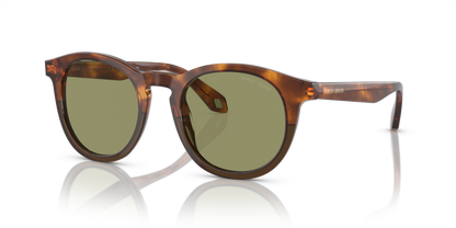 Havana Red/Opal Olive Green - 0AR8192 8056597940542