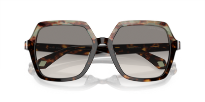 Havana Green/Havana - 0AR8193U 8056597942126