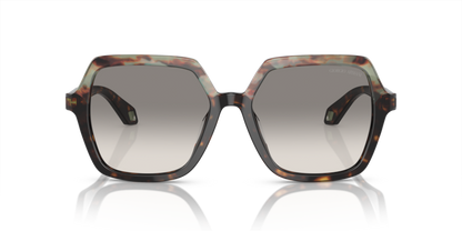 Havana Green/Havana - 0AR8193U 8056597942126