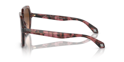 Havana Grey/Bordeaux Havana - 0AR8193U 8056597953610