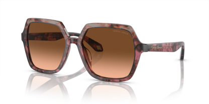 Havana Grey/Bordeaux Havana - 0AR8193U 8056597953610