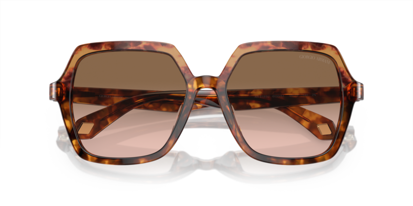 Orange Havana/Red Havana - 0AR8193U 8056597942140