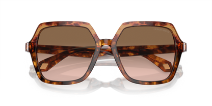 Orange Havana/Red Havana - 0AR8193U 8056597942140