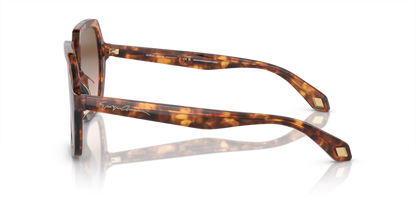 Orange Havana/Red Havana - 0AR8193U 8056597942140