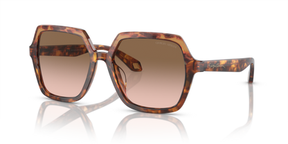 Orange Havana/Red Havana - 0AR8193U 8056597942140