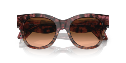 Bordeaux Havana/Havana Grey - 0AR8195U 8056597953658