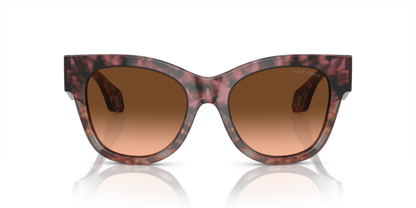 Bordeaux Havana/Havana Grey - 0AR8195U 8056597953658