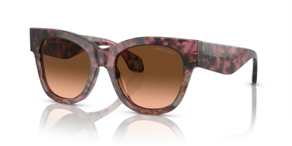 Bordeaux Havana/Havana Grey - 0AR8195U 8056597953658