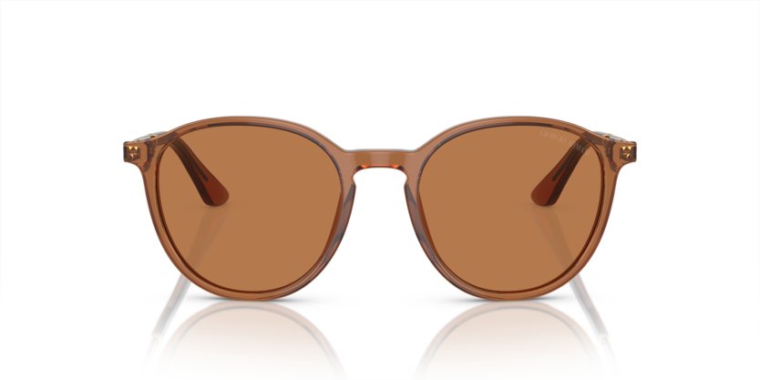 Trasparent Brown - 0AR8196 8056597942478