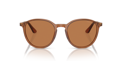 Trasparent Brown - 0AR8196 8056597942478