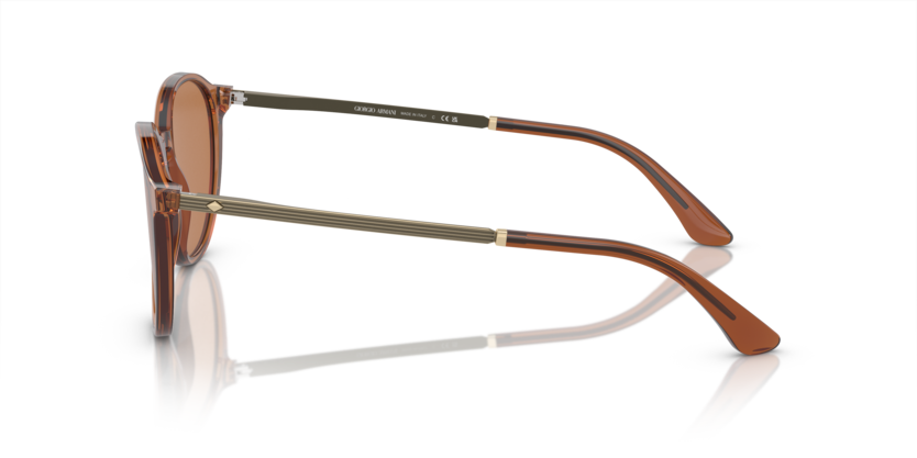 Trasparent Brown - 0AR8196 8056597942478