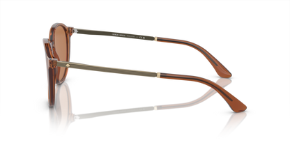 Trasparent Brown - 0AR8196 8056597942478