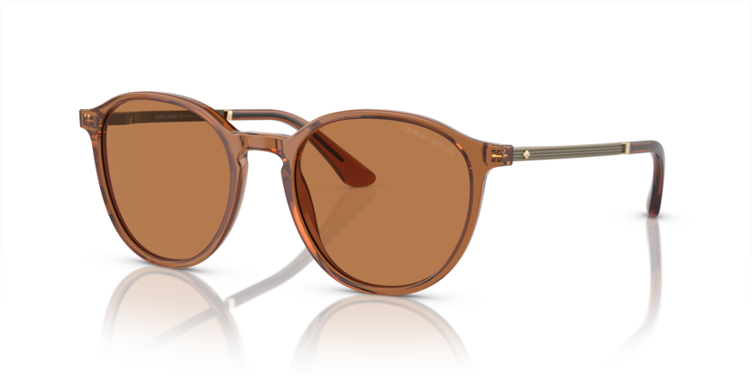 Trasparent Brown - 0AR8196 8056597942478