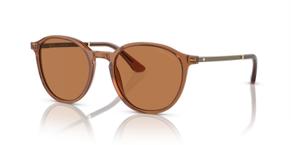 Trasparent Brown - 0AR8196 8056597942478