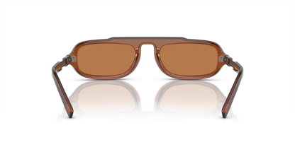 Trasparent Brown - 0AR8203 8056597953603