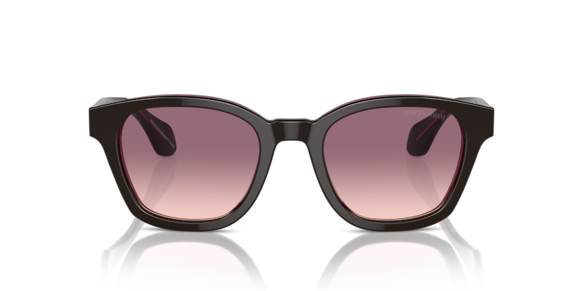 Top Brown/Transparent Pink - 0AR8207 8056262049464