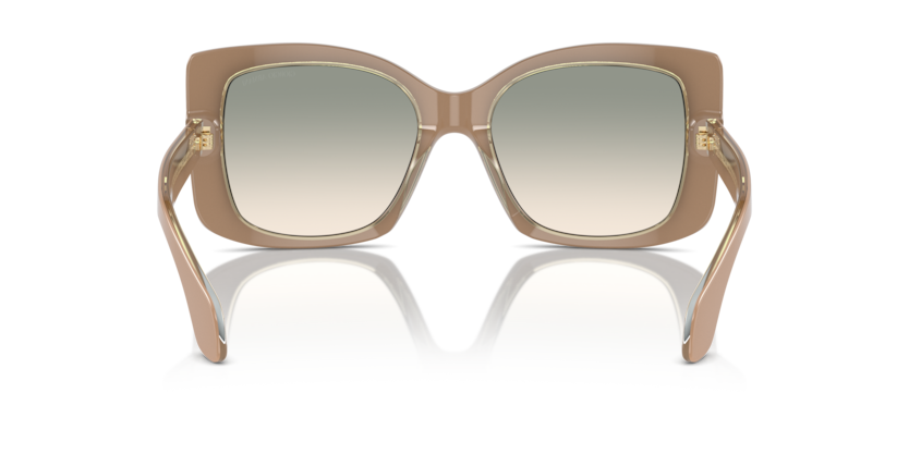 Top Powder/Transparent Green - 0AR8208U 8056262047194