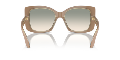 Top Powder/Transparent Green - 0AR8208U 8056262047194