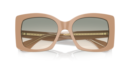 Top Powder/Transparent Green - 0AR8208U 8056262047194