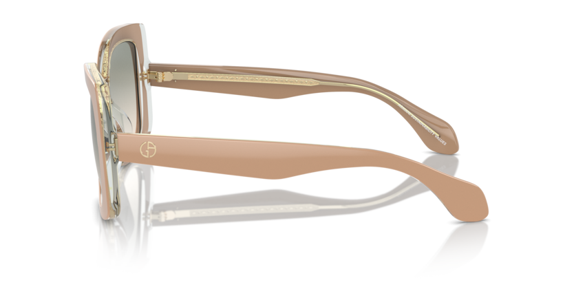 Top Powder/Transparent Green - 0AR8208U 8056262047194