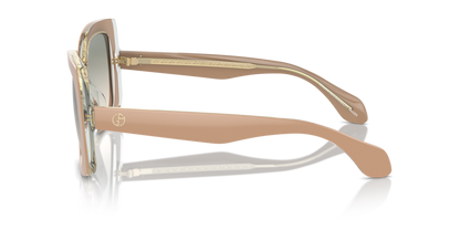 Top Powder/Transparent Green - 0AR8208U 8056262047194