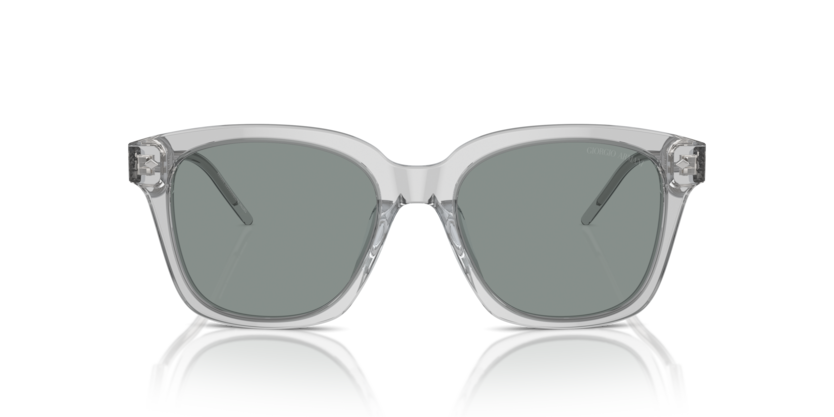 Transparent Grey - 0AR8210U 8056262045589