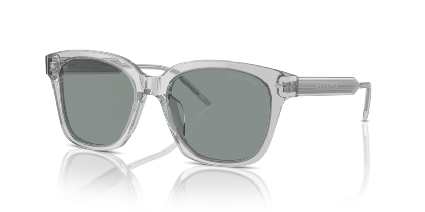 Transparent Grey - 0AR8210U 8056262045589