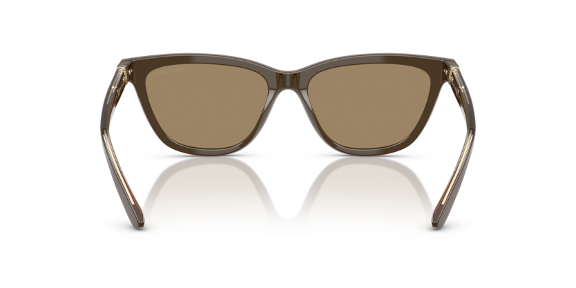 Brown - 0AR8221 8056262222874