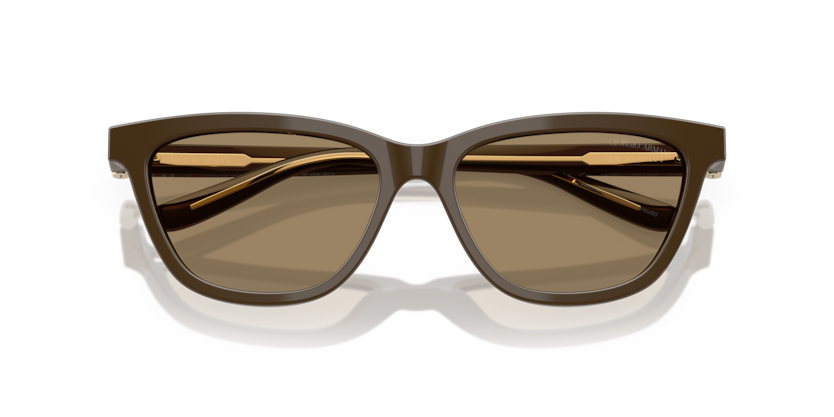 Brown - 0AR8221 8056262222874