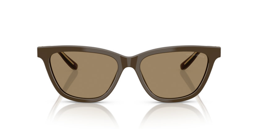 Brown - 0AR8221 8056262222874