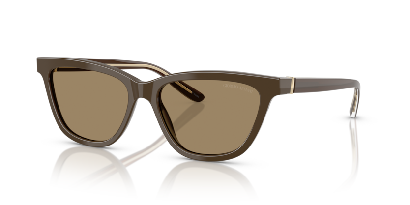 Brown - 0AR8221 8056262222874
