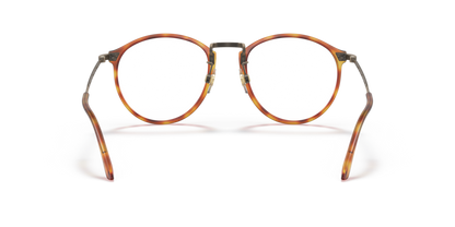 Brown Tortoise - 0AR 318M 8056597622714