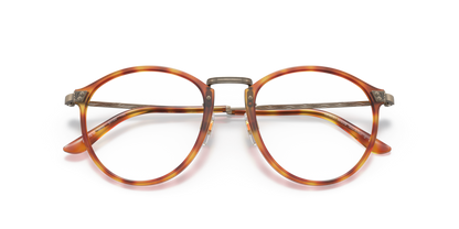 Brown Tortoise - 0AR 318M 8056597622714