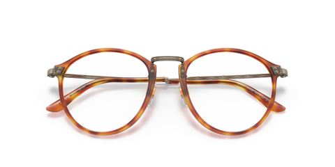 Brown Tortoise - 0AR 318M 8056597622714