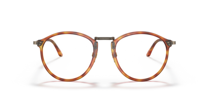 Brown Tortoise - 0AR 318M 8056597622714