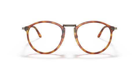 Brown Tortoise - 0AR 318M 8056597622714