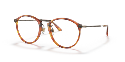 Brown Tortoise - 0AR 318M 8056597622714