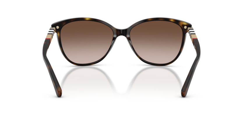 Dark Havana - 0BE4216 8053672556865  Sunglasses Woman