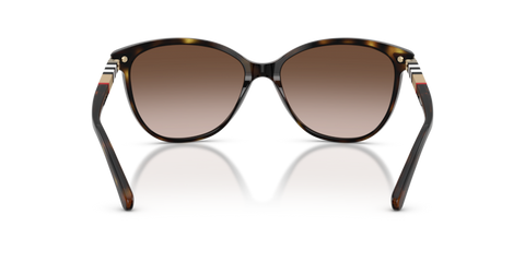 Dark Havana - 0BE4216 8053672556865  Sunglasses Woman