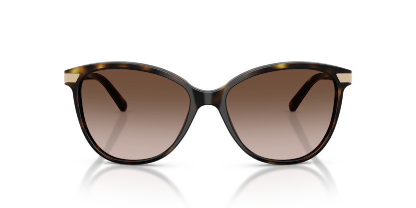 Dark Havana - 0BE4216 8053672556865  Sunglasses Woman