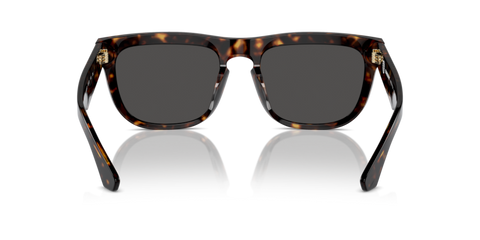 Dark Havana - 0BE4431U 8056262082492