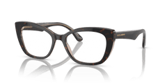 0DG3360 - Dolce & Gabbana - Brown - (Havana/Transparent Brown 3256) - 54 - 18 - 145 MM - Ardor Eyewear 8056597756556