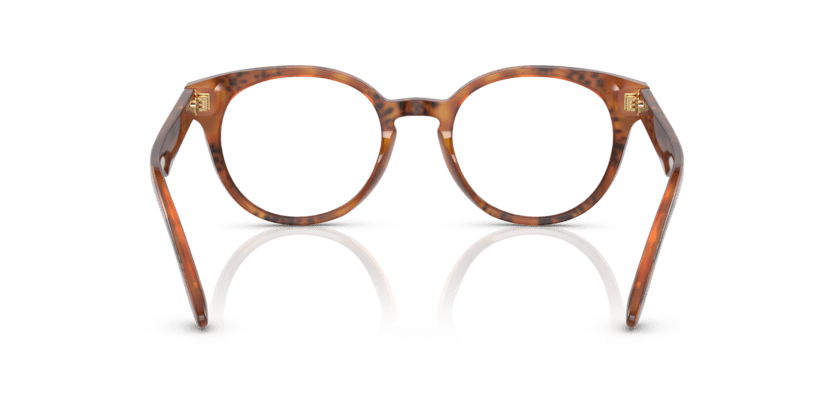 0DG3361 - Dolce & Gabbana - Tortoise - (Havana Leo 3380) - 50 - 20 - 145 MM - Ardor Eyewear 8056597756754