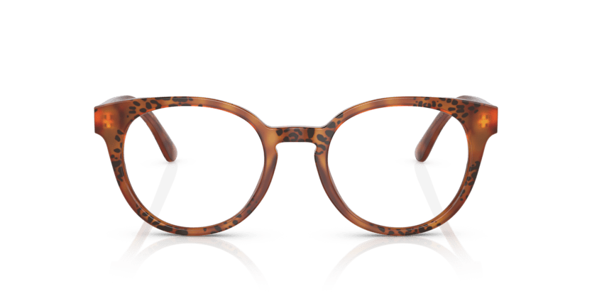 0DG3361 - Dolce & Gabbana - Tortoise - (Havana Leo 3380) - 50 - 20 - 145 MM - Ardor Eyewear 8056597756754