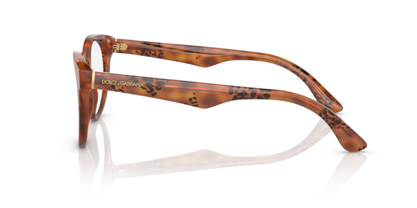 0DG3361 - Dolce & Gabbana - Tortoise - (Havana Leo 3380) - 50 - 20 - 145 MM - Ardor Eyewear 8056597756754