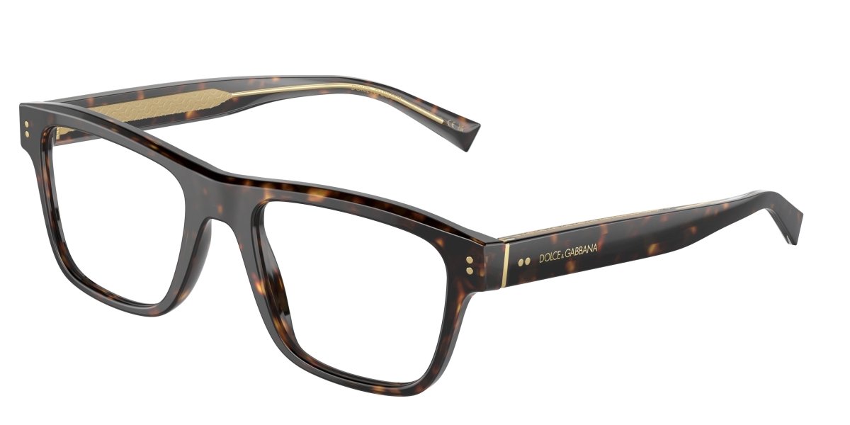 0DG3362 - Dolce & Gabbana - Tortoise - (Havana 502) - 53 - 20 - 145 MM - Ardor Eyewear 8056597757911