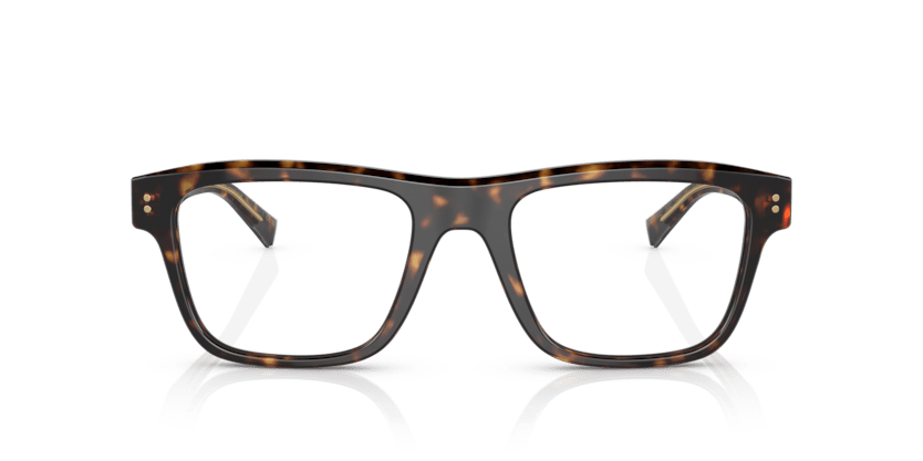 0DG3362 - Dolce & Gabbana - Tortoise - (Havana 502) - 53 - 20 - 145 MM - Ardor Eyewear 8056597757911