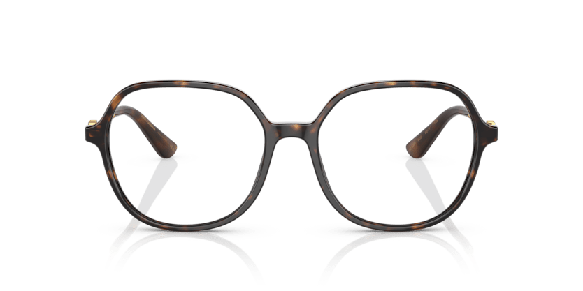 0DG3364 - Dolce & Gabbana - Tortoise - (Havana 502) - 54 - 17 - 145 MM - Ardor Eyewear 8056597757072